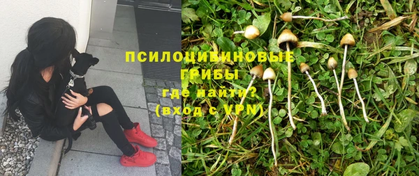спайс Алзамай